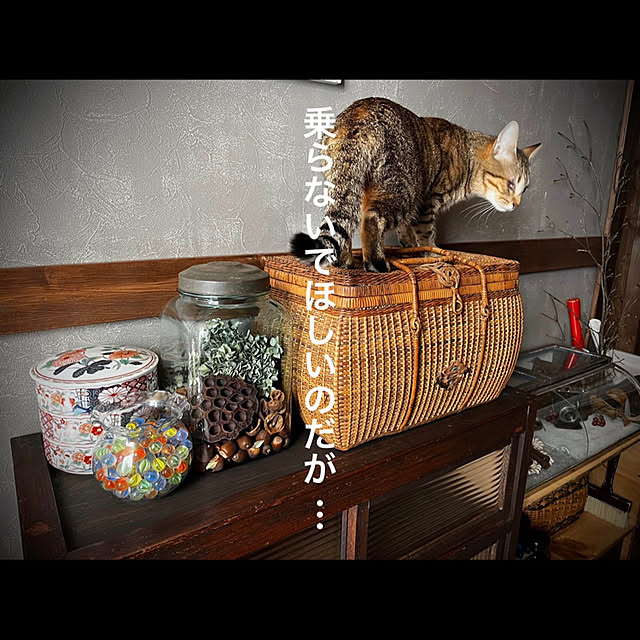 marusanさんの実例写真