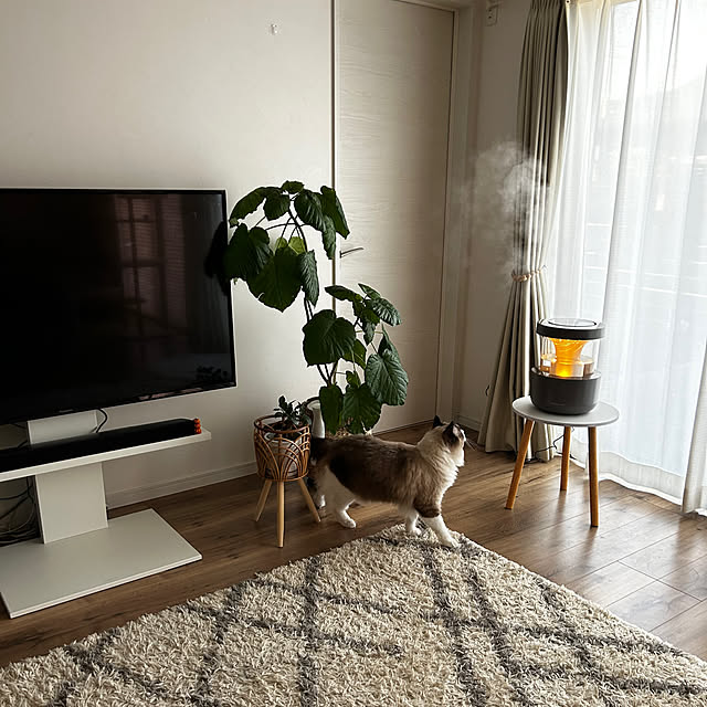 sonsan_famさんの部屋