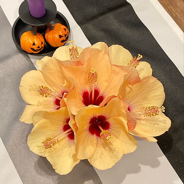 bonobono54さんの実例写真