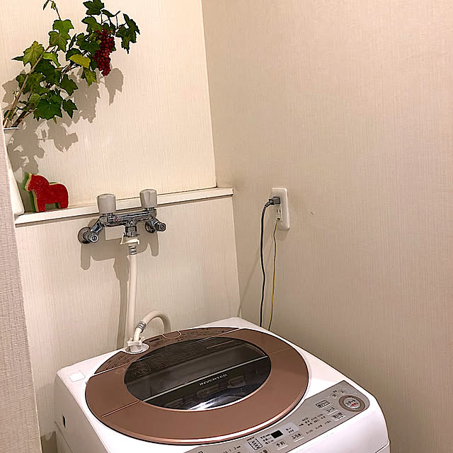 ma-sanさんの実例写真