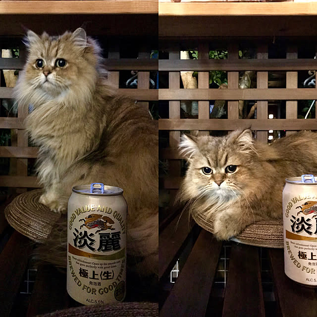 butachanさんの実例写真