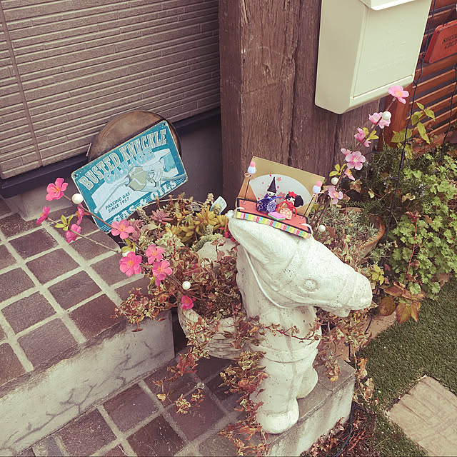 mayさんの実例写真