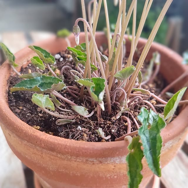 YuriYuriさんの部屋