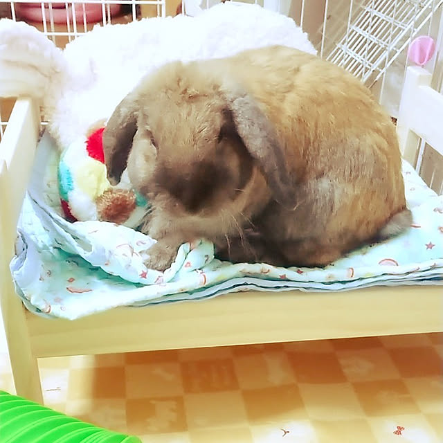 mariaさんの実例写真