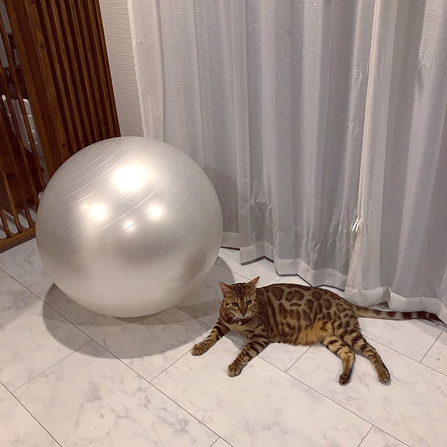 iranさんの実例写真