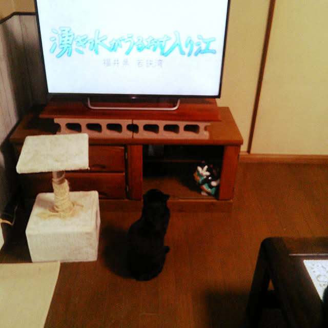 Tomopさんの実例写真