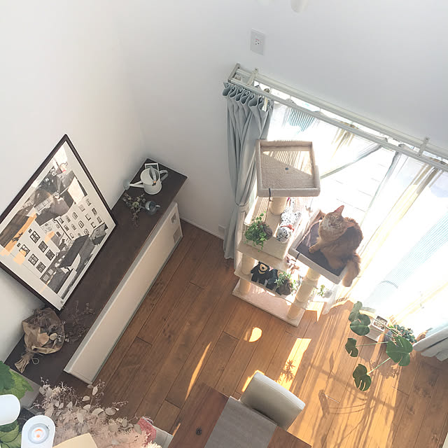 sakineko528さんの実例写真