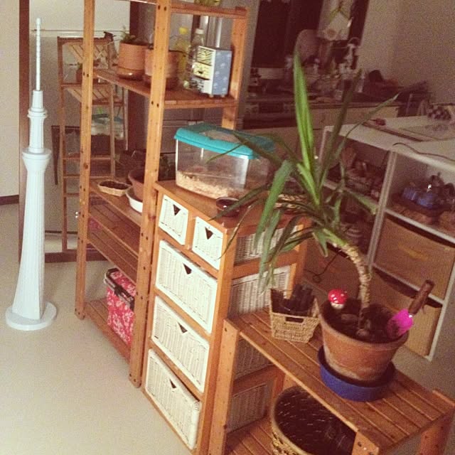 玄関/入り口/100均/植物のインテリア実例 - 2013-09-09 21:13:05
