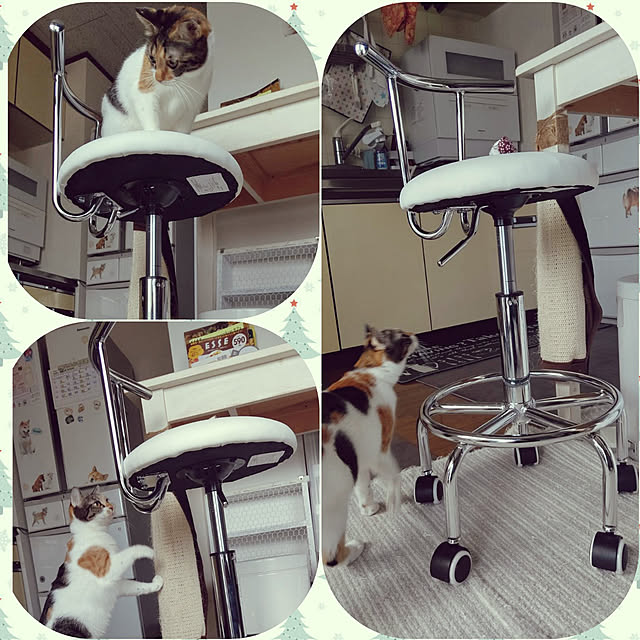 momoki1020さんの実例写真