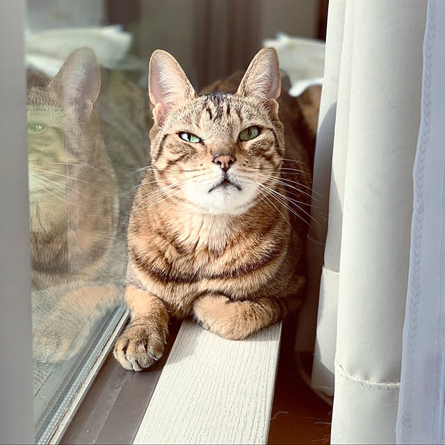 STMさんの実例写真