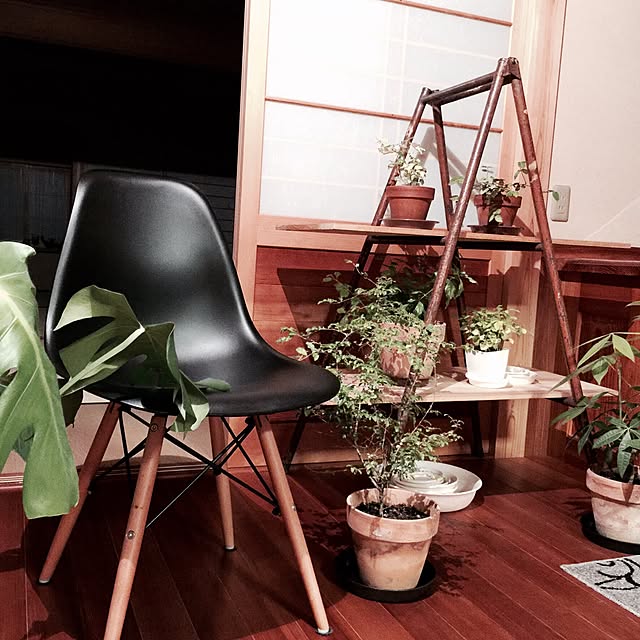 mamyuさんの実例写真