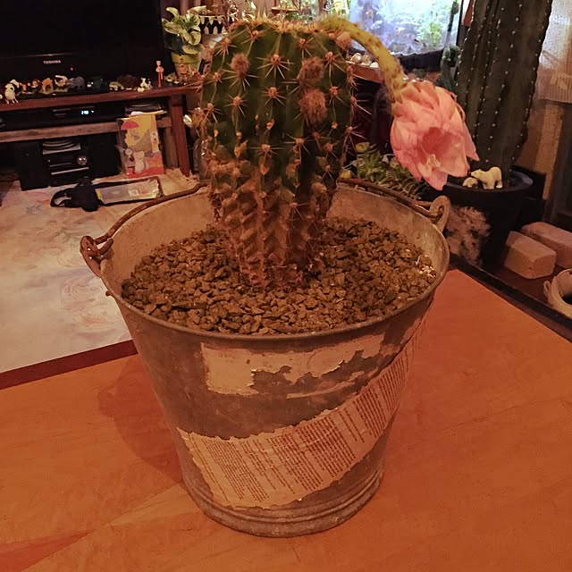Masahideさんの実例写真