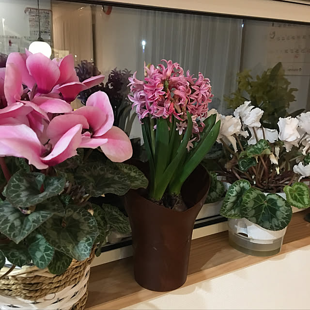 棚のインテリア実例 - 2019-02-07 18:52:26