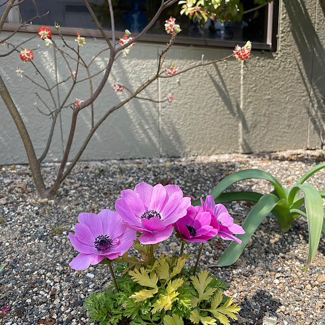 shin0719さんの部屋