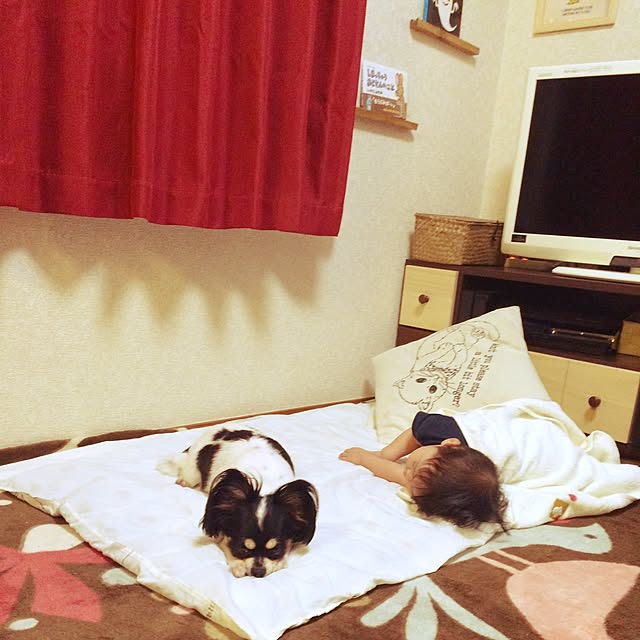 Mayさんの実例写真