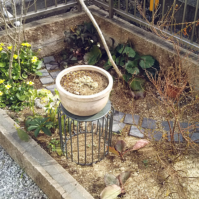 chikohiroさんの実例写真