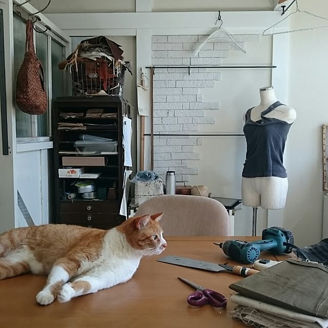 Akaneさんの実例写真