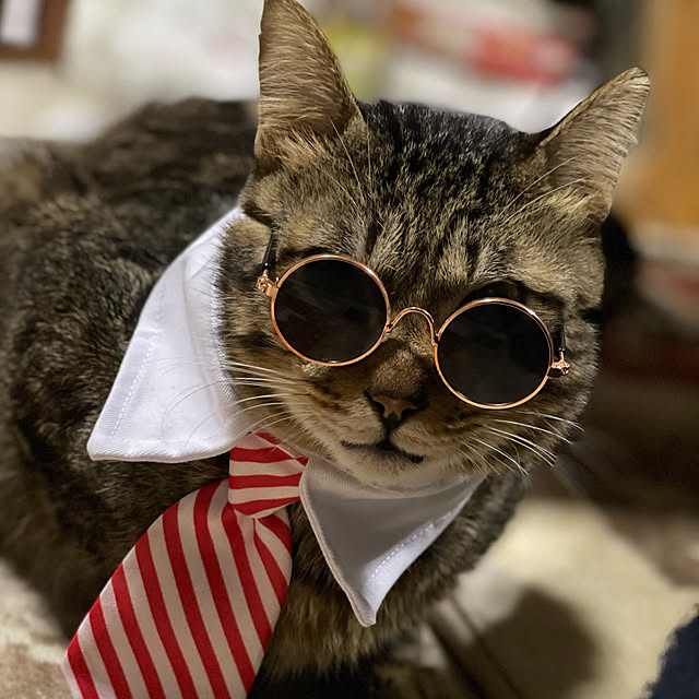 tantanさんの実例写真