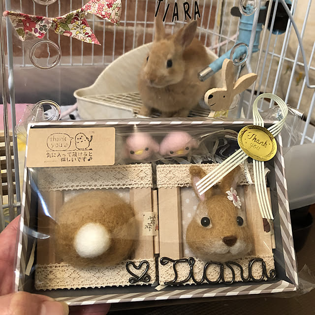 pikarunさんの実例写真