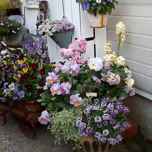 mariagardenさんの実例写真