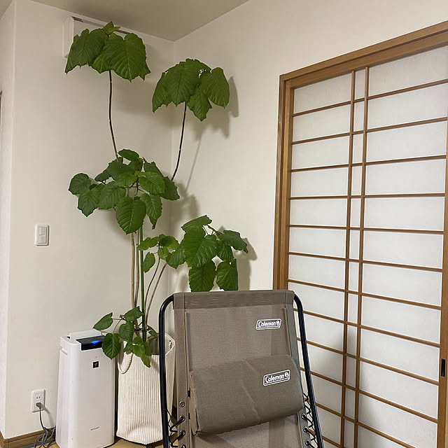 kotaroさんの実例写真