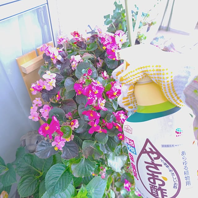 mariaさんの部屋