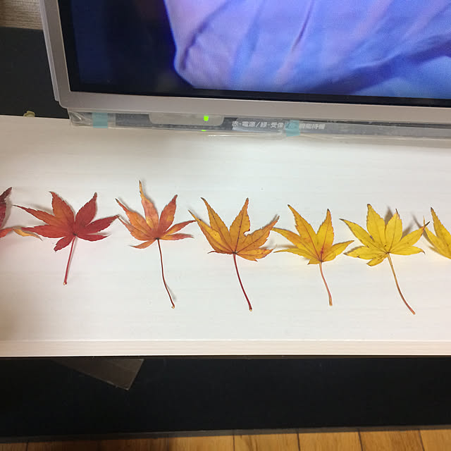 Milkyappleさんの実例写真