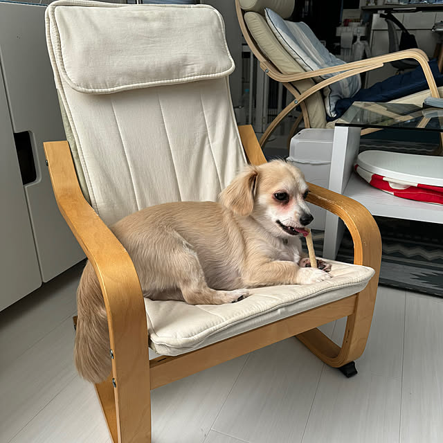 Rainyさんの部屋