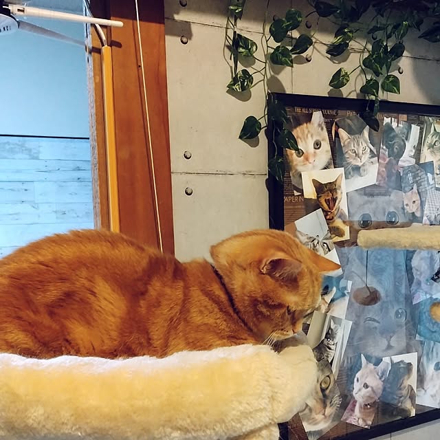 runaさんの部屋
