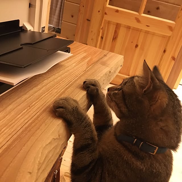 Shiyouさんの実例写真