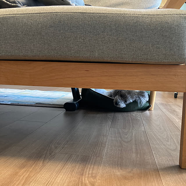 coochanさんの部屋