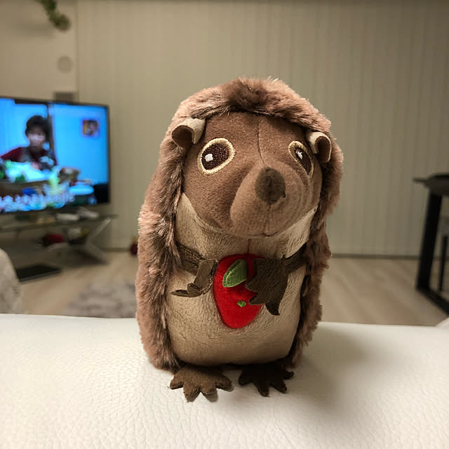 izumin.さんの実例写真