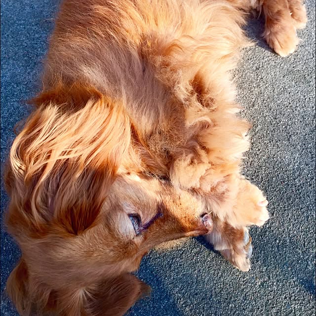 sakuさんの実例写真