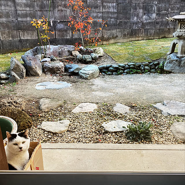 uninekoさんの実例写真
