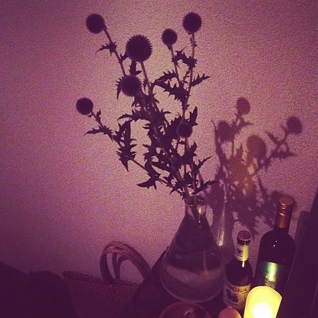 mino__risuさんの実例写真