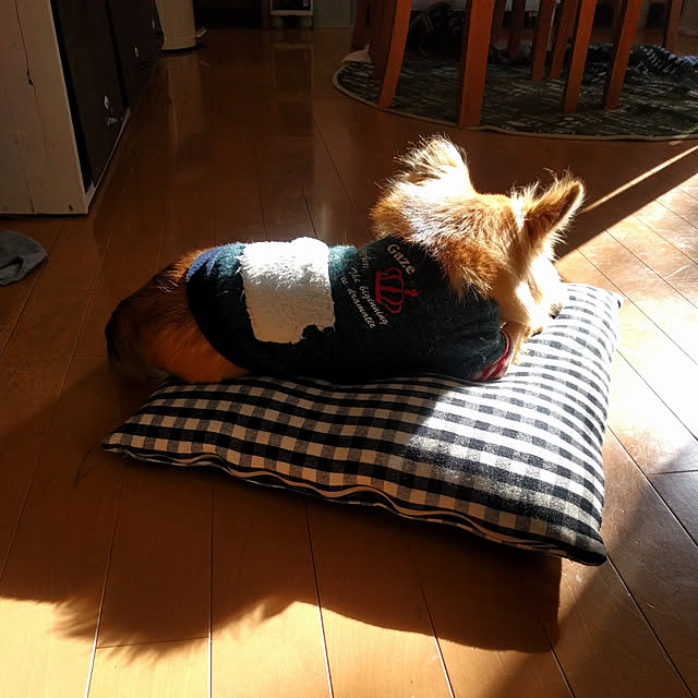 rie20さんの実例写真