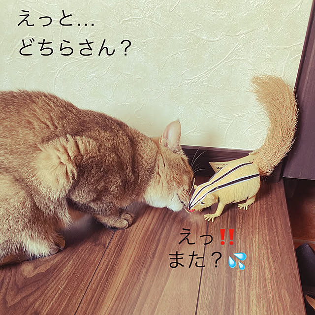 jill_lowさんの実例写真