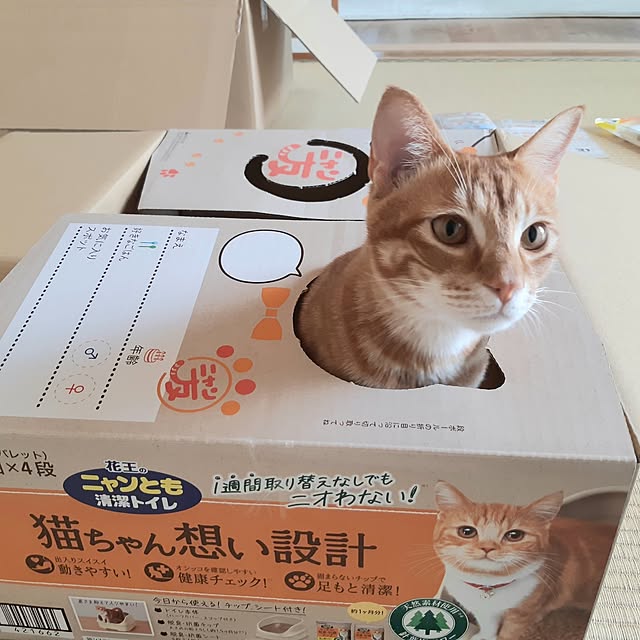 m.m.mさんの部屋