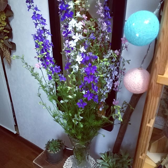 koyutan-mjmさんの部屋
