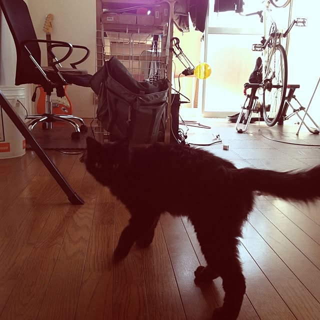 実例写真