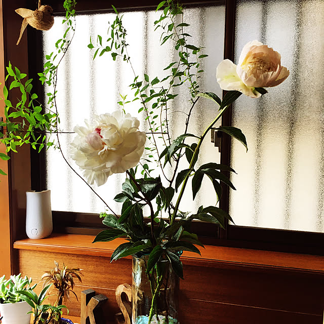 mimichankさんの実例写真