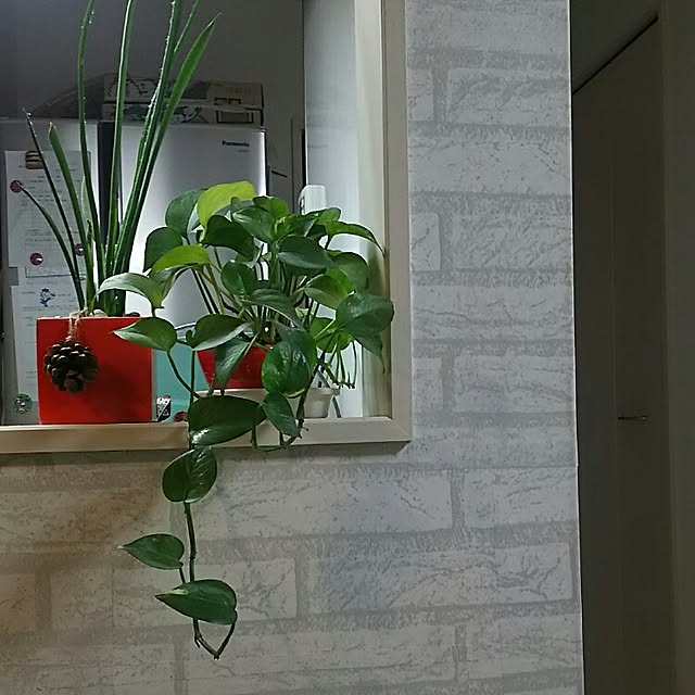 korikingさんの実例写真