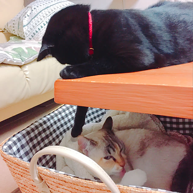 nanaさんの実例写真