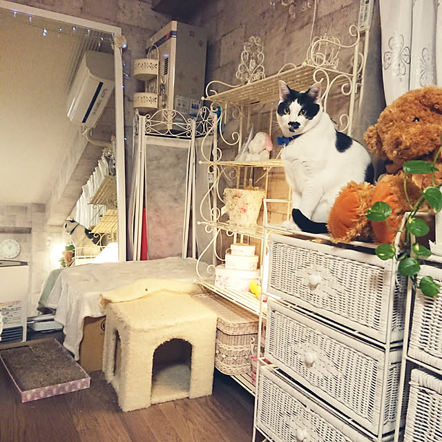 asuminさんの実例写真
