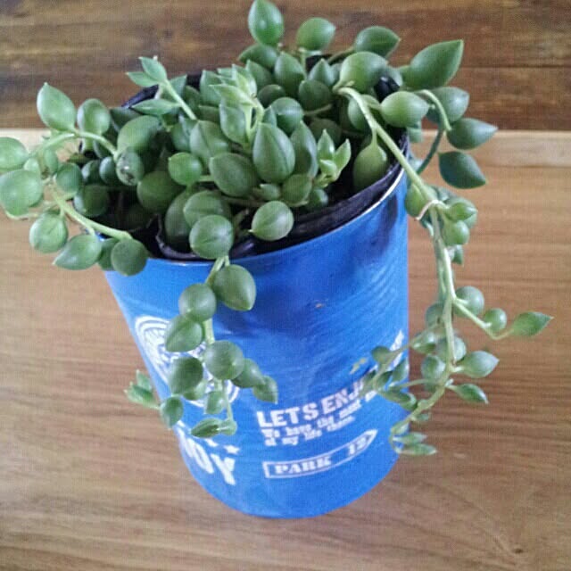 akubi28nさんの実例写真