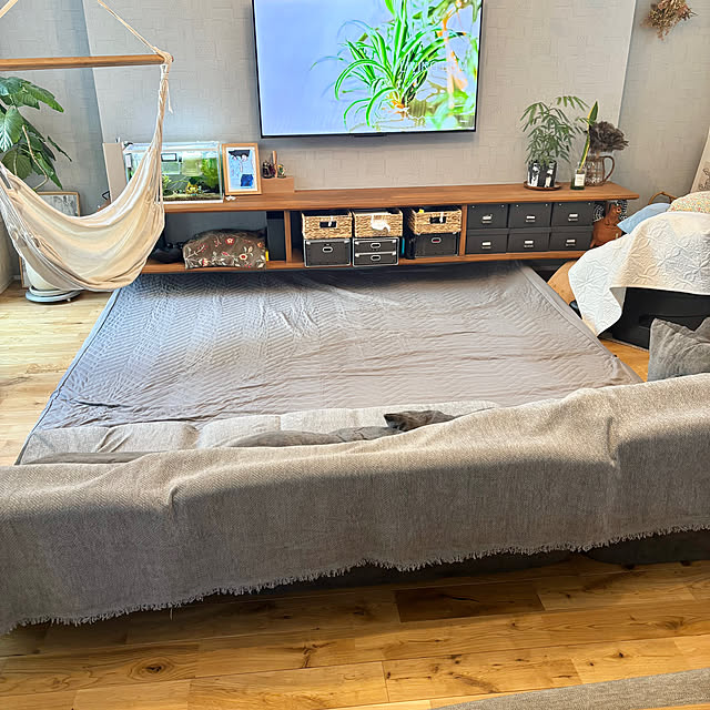 Minteaさんの部屋