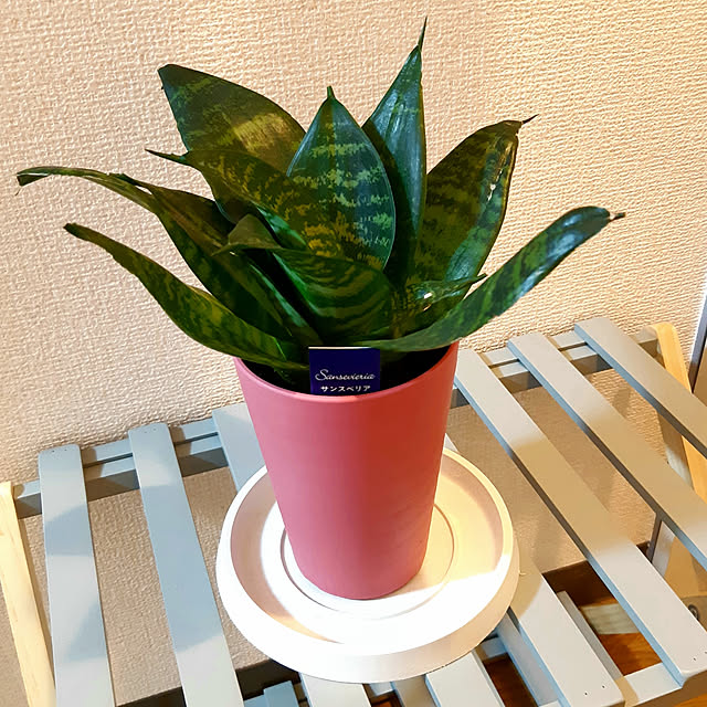 TOROさんの実例写真