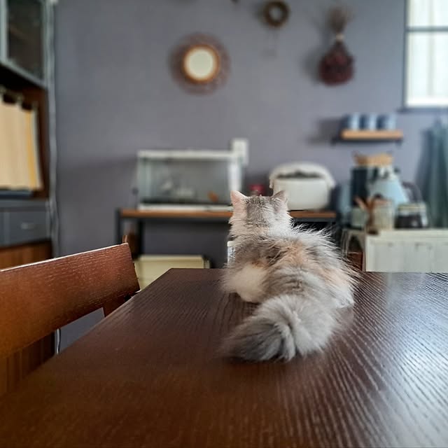 hiromi0302さんの実例写真