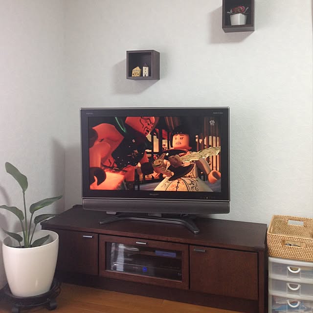 mugisukeさんの実例写真