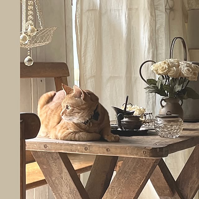 ataさんの実例写真